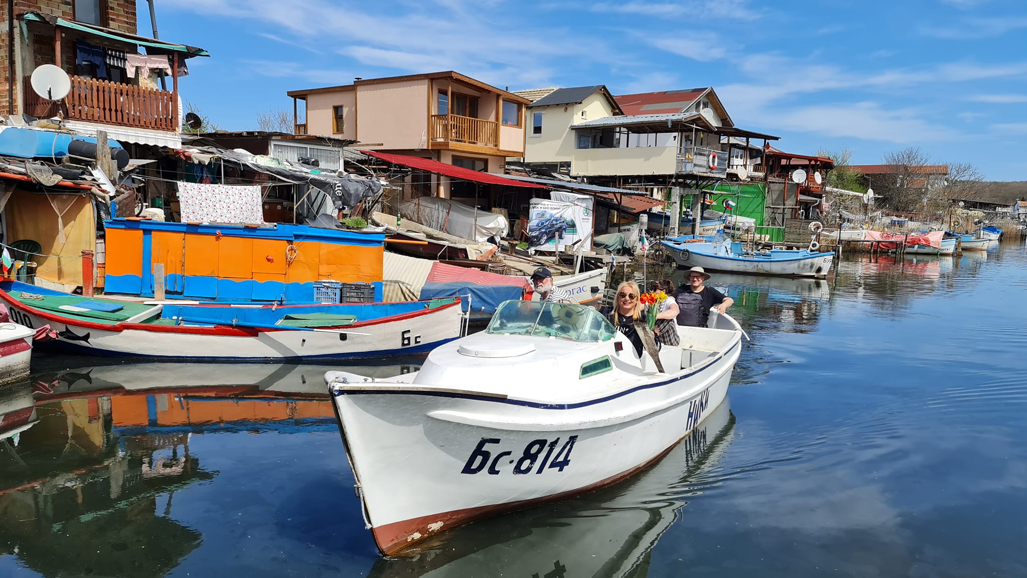 тони димитрова