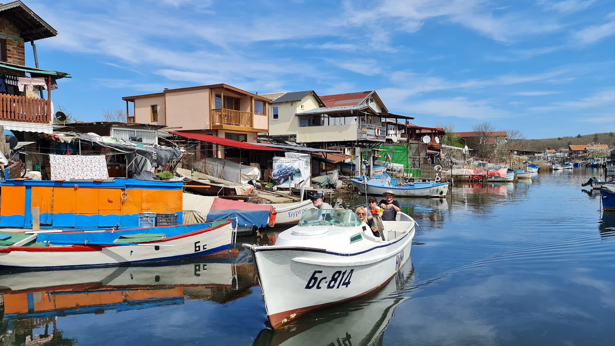 тони димитрова