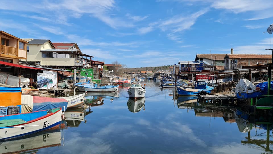 тони димитрова