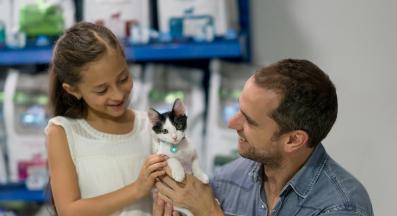 осиновяване на коте