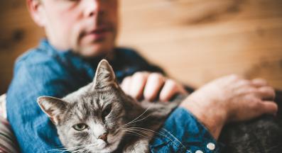 котка и стопанин