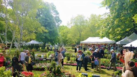 изложение Флора 2022