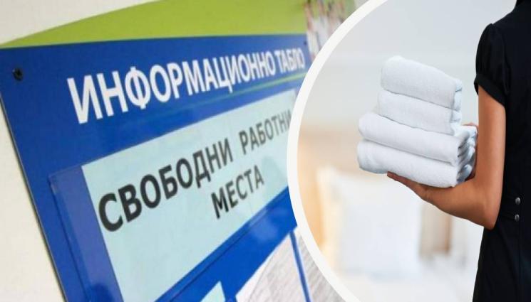 бюро по труда камериерка украинци - 3500 лв. заплата за художник!