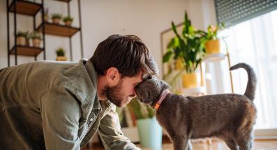 котка и стопанин