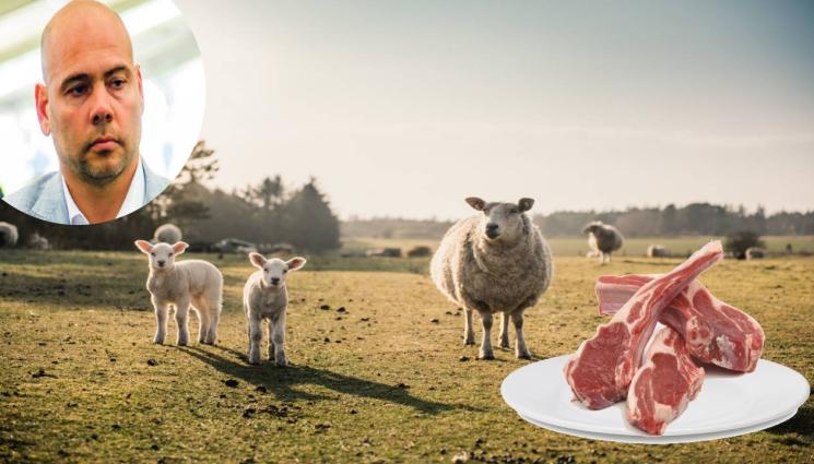 агнешко - Симеон Караколев пред