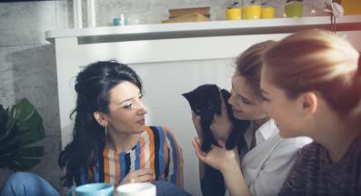 котка и твърде много хора