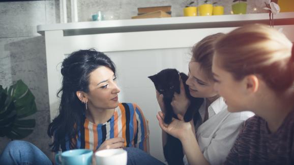 котка и твърде много хора