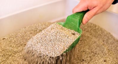 котешка тоалетна и изпражнения