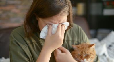 алергия към котка