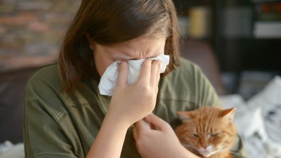 Котките знаят ли когато хората имат алергия към тях