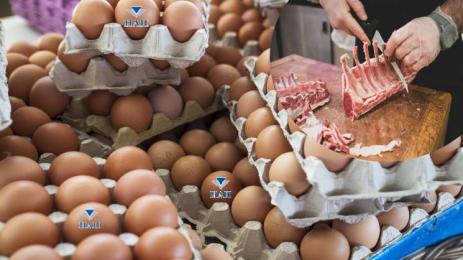 проверка на яйца НАП