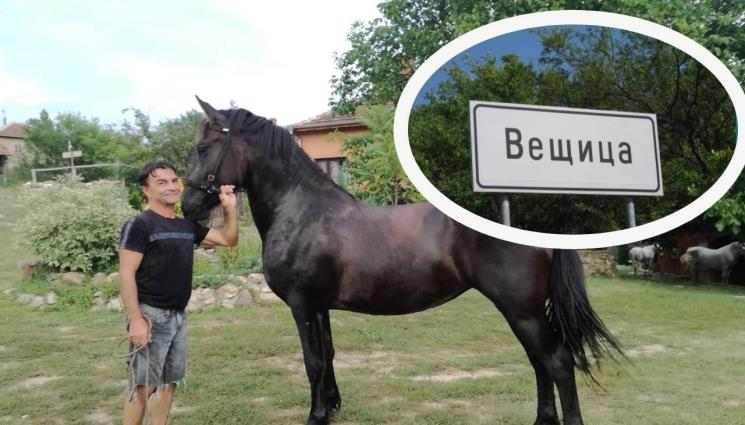 Вещица - Шампион по самбо управлява Вещица и Стенско