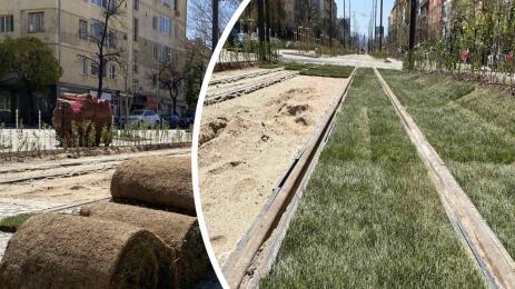 зелен трамвай трева Македония