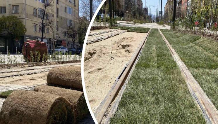 зелен трамвай трева Македония - СОФИЙСКИ ХУБОСТИ: Засаждат „зеления трамвай“ в столицата