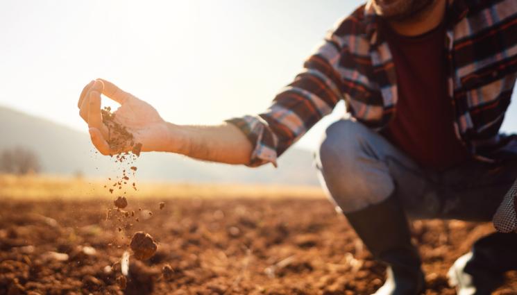 земя - Агро Телеграф: Най-скъпото парче земя е в Италия