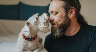 куче и човек