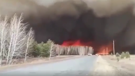 пожар сибир