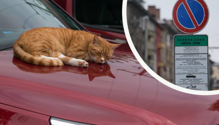 безплатно паркиране зона - БОНУС ЗА ПРАЗНИЦИТЕ: Паркираме безплатно в „синя“ и „зелена“ зона покрай Великден