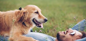 6 начина да релаксирате с кучето си