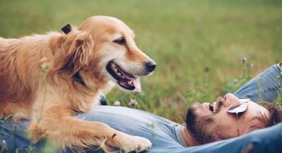 куче и човек