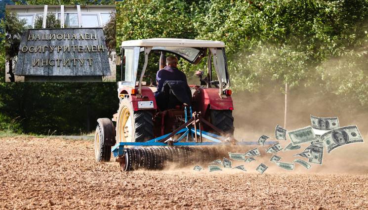 НОИ - ШМЕКЕРИИ: 57 нашенци опитали да източат НОИ с фалшиви трудови договори от Испания