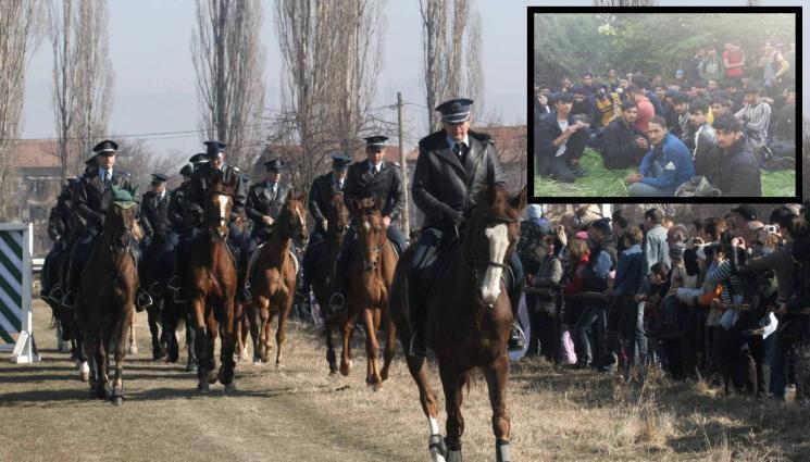Конна полиция бежанци - ПОДКРЕПЛЕНИЕ: МВР праща коне на границата заради жестокия бежански натиск