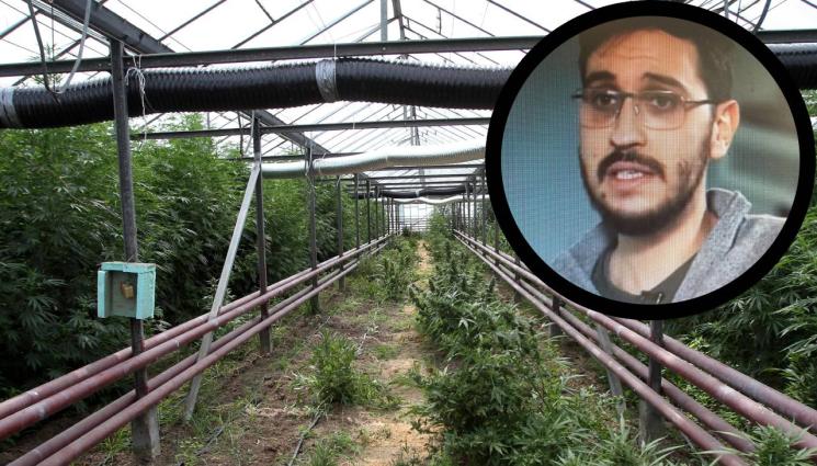 коноп Александър Червенков - Румъния ни краде конопа!