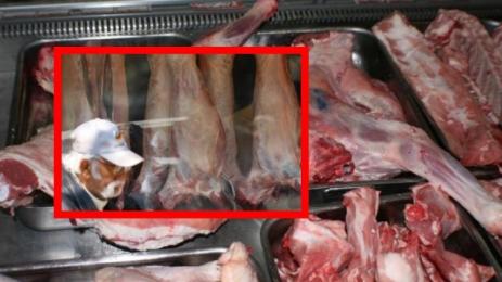 агнешко великден цени