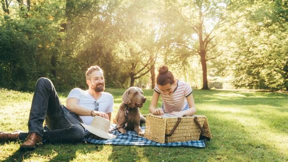 10 съвета за безопасен и забавен пикник с кучето ви