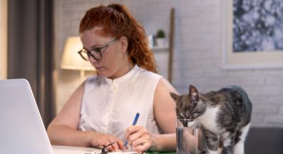 котка пие вода от чаша за вода