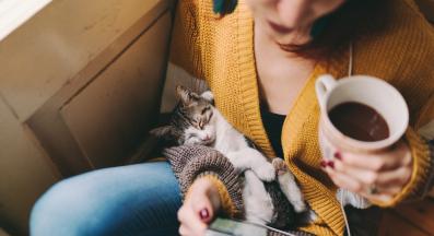 котка се гушка в стопанин