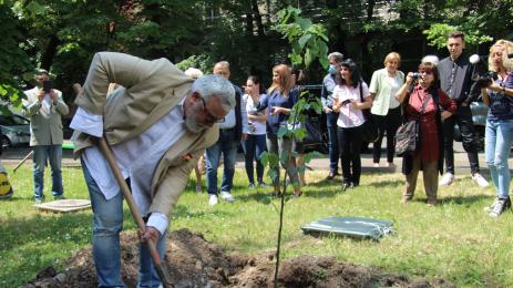 владо пенев златна липа