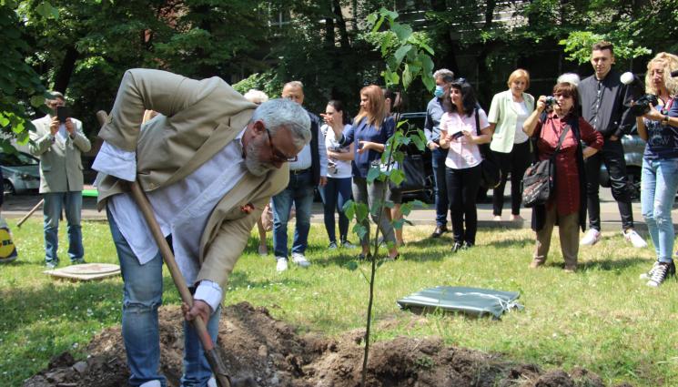 владо пенев златна липа - ХАЙДЕ НА КИНО: Завъртат 42 ленти от цяла Европа на „Златната липа“
