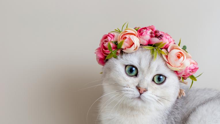  Дневен хороскоп за 30 март, четвъртък 