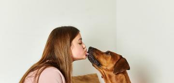 Безопасни ли са кучешките целувки