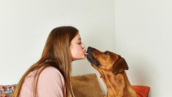 Безопасни ли са кучешките целувки
