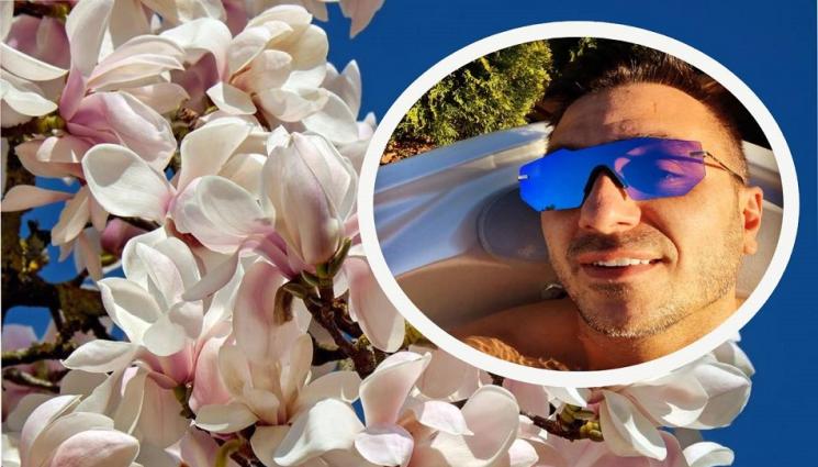 с - Висша аристокрация сред дърветата и храстите: Цъфна и магнолията на Коцето