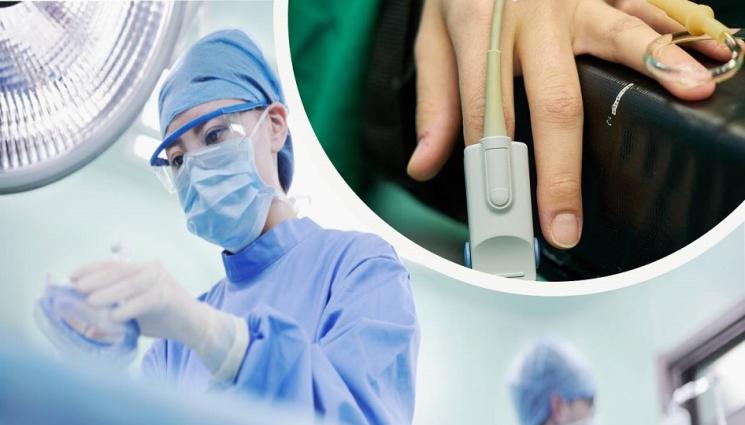 aa - След разпространилия се COVID-19: Нова болест плъзна в Китай, откриха първи случай на заразен с птичи грип