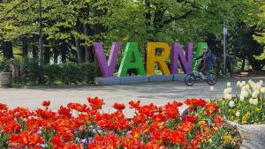 Морската градина във Варна грейна с цветовете на над 45 хиляди лалета