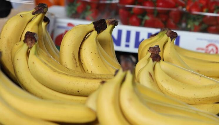 банани - Агро Телеграф: Бананът - вход за фитнеса в Австралия