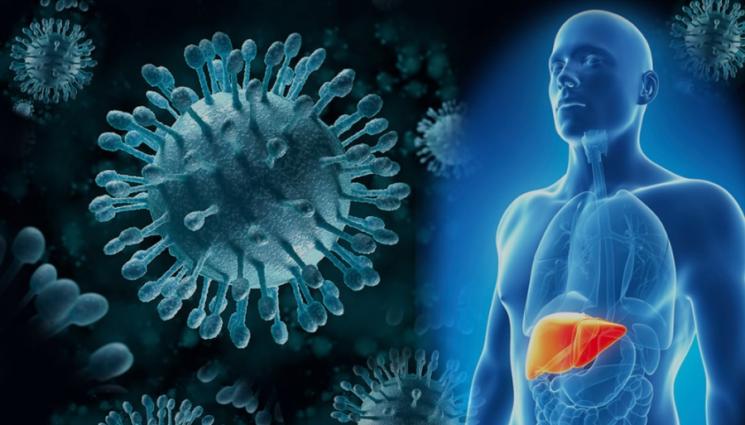 хепатит - ЗДРАВЕ с Телеграф: Милиони живеят с хепатит B и C в ЕС