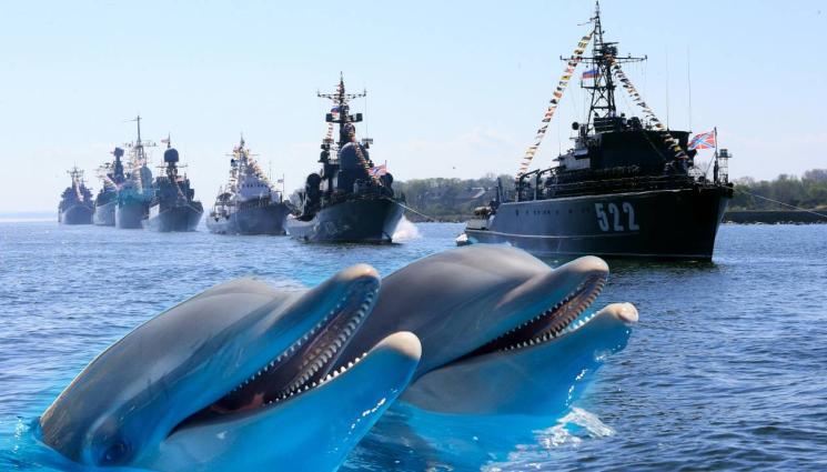 флот - Кръвожадни зверове пазят руския флот в Черно море