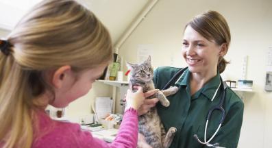 котка на преглед при ветеринар