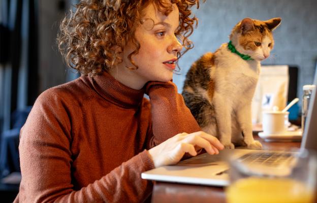 котка и лаптоп