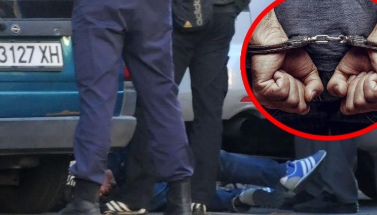 арест акция - СЕКИРА: Закопчаха 17 мъже за незаконна сеч във Видинско