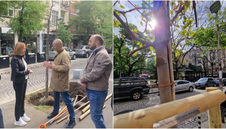 фандъкова дръвчета - ЗА ЧРД: Общинари подариха дръвчета на Фандъкова (СНИМКИ)