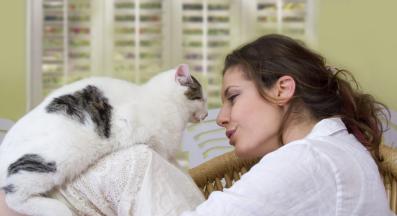 котка у дома