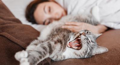 котка и стопанин