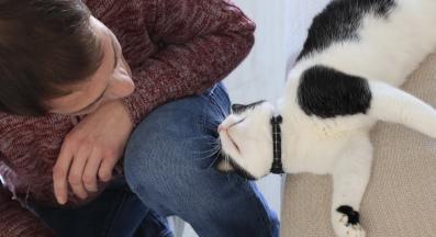 котка и стопанин