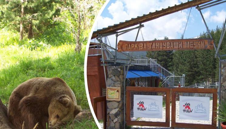 парк за танцуващи мечки белица - СТУД - НЕ СТУД: Мечките в Белица изпозаспаха